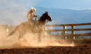 Wrangler dust